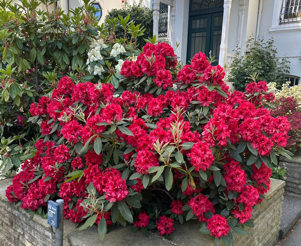 Рамиля Мангушева profile