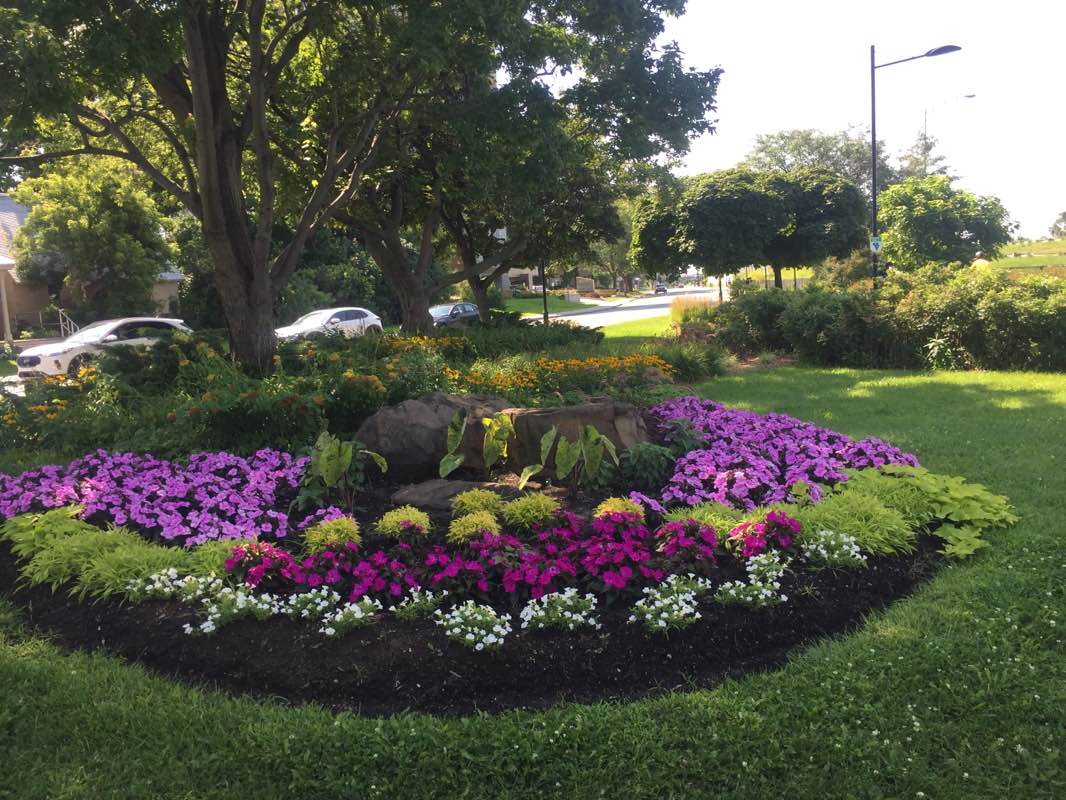 walking near me in Parc du Village in winter