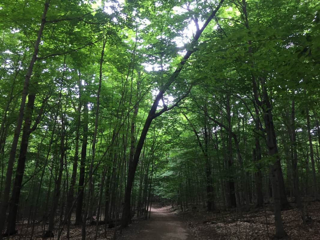 walking near me in Réserve naturelle Gault-de-l'Université-McGill in winter