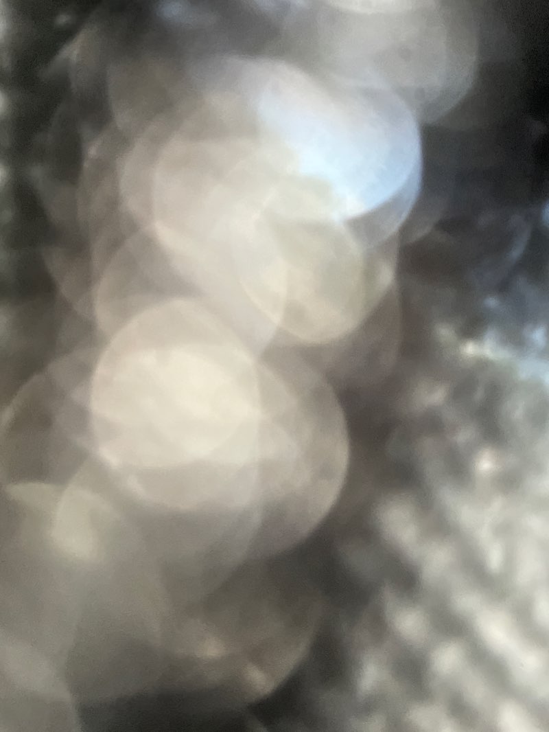 walking near me in El Rancho Verde Park in winter