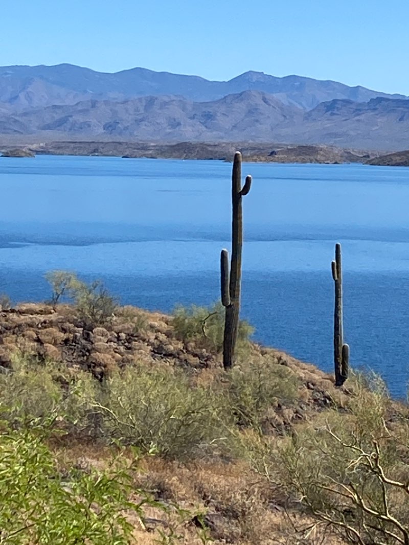 walking near me in Lake Pleasant Regional Park in winter