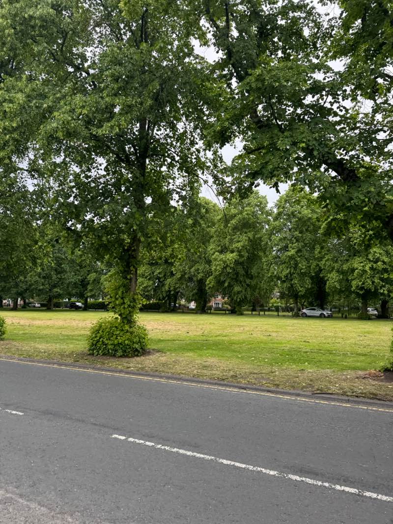 walking near me in The Green in summer