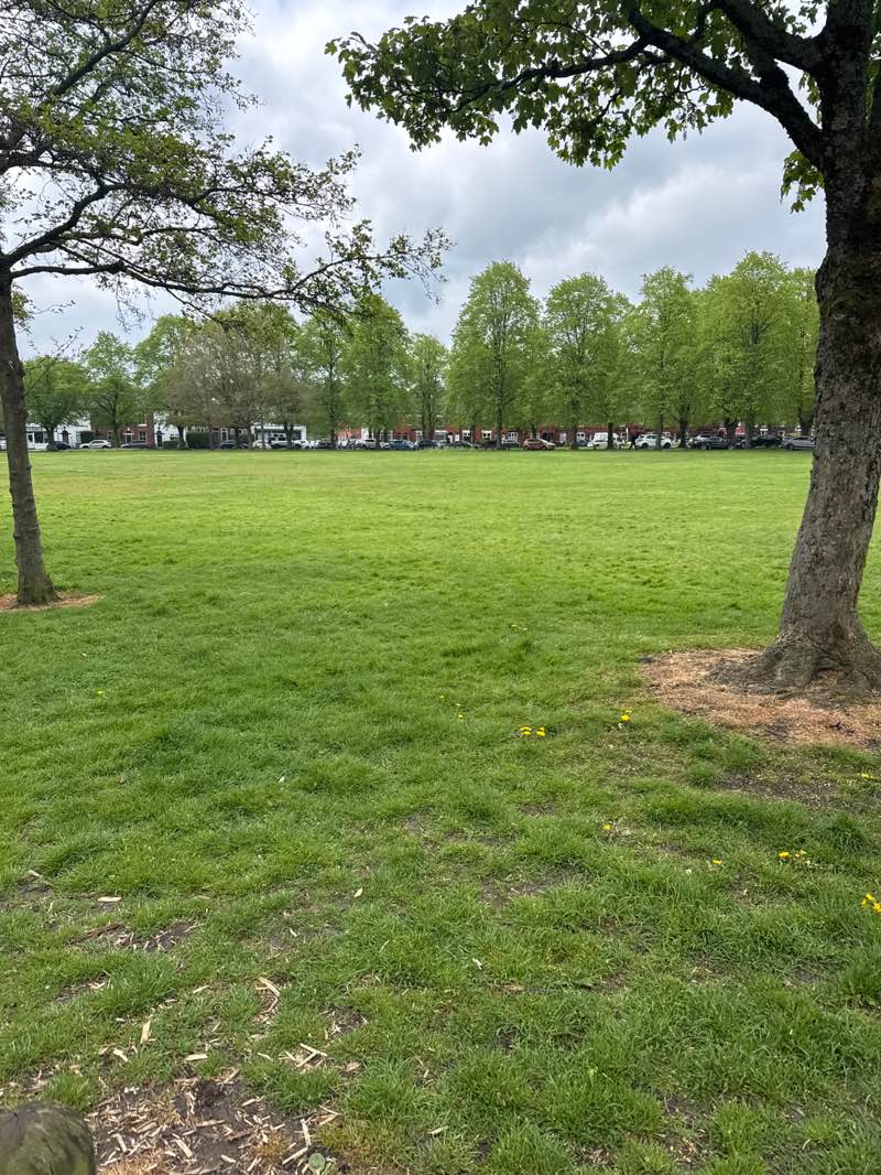 walking near me in The Green in spring
