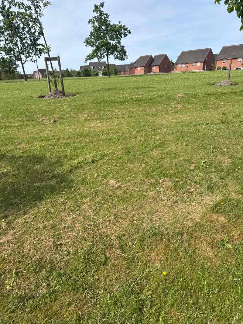 walking near me in Buckshaw Village Green in summer