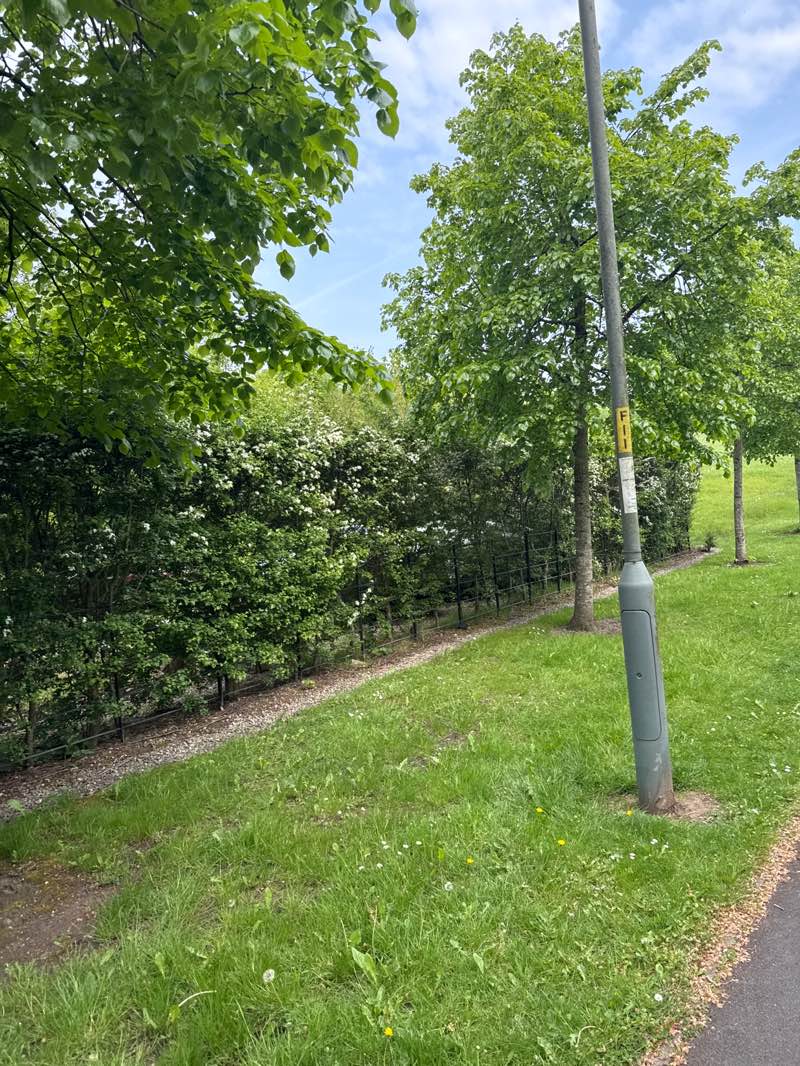 walking near me in Village Park in spring