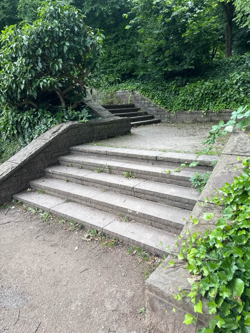 walking near me in Berger Aue in summer