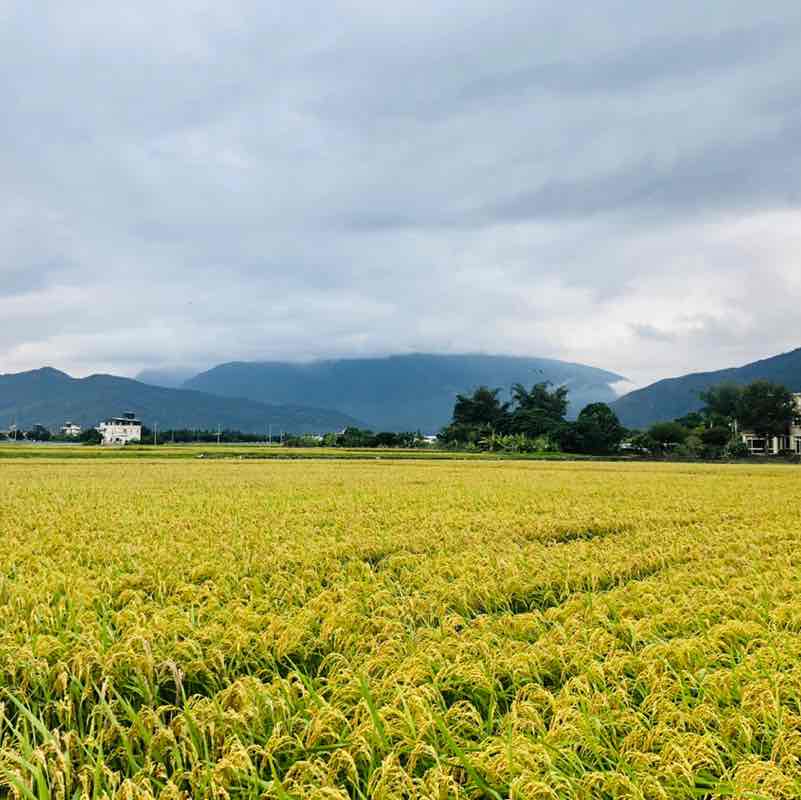 台灣花蓮民宿小站😊 post 2