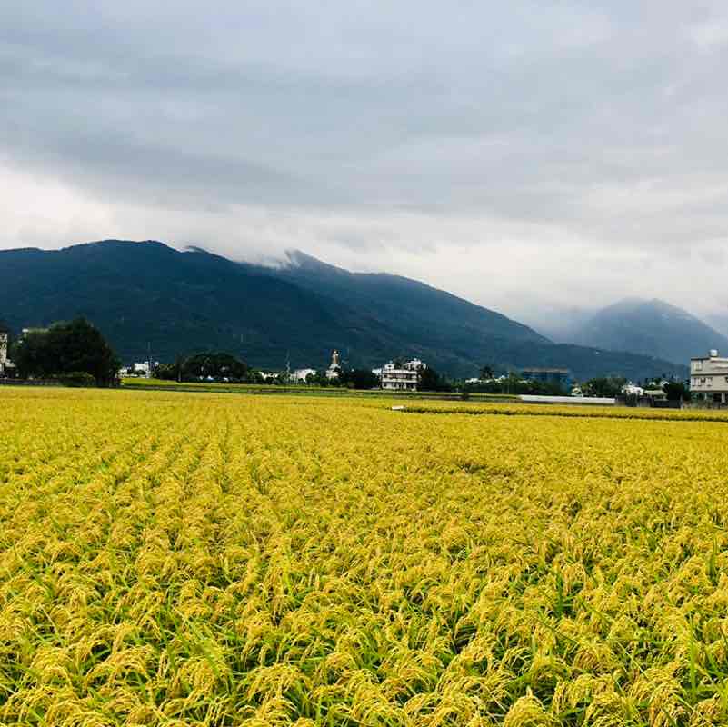 台灣花蓮民宿小站😊 post 1