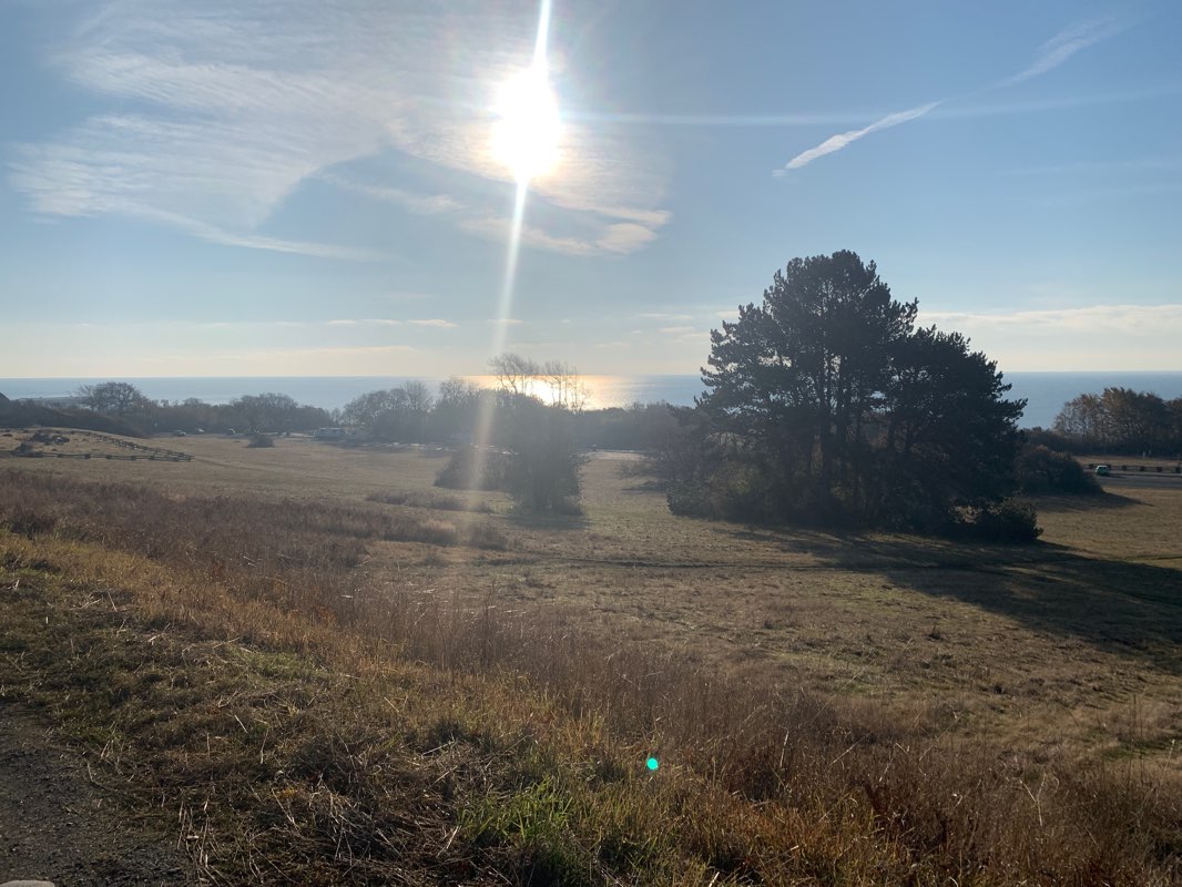 walking near me in Beacon Hill Park in winter