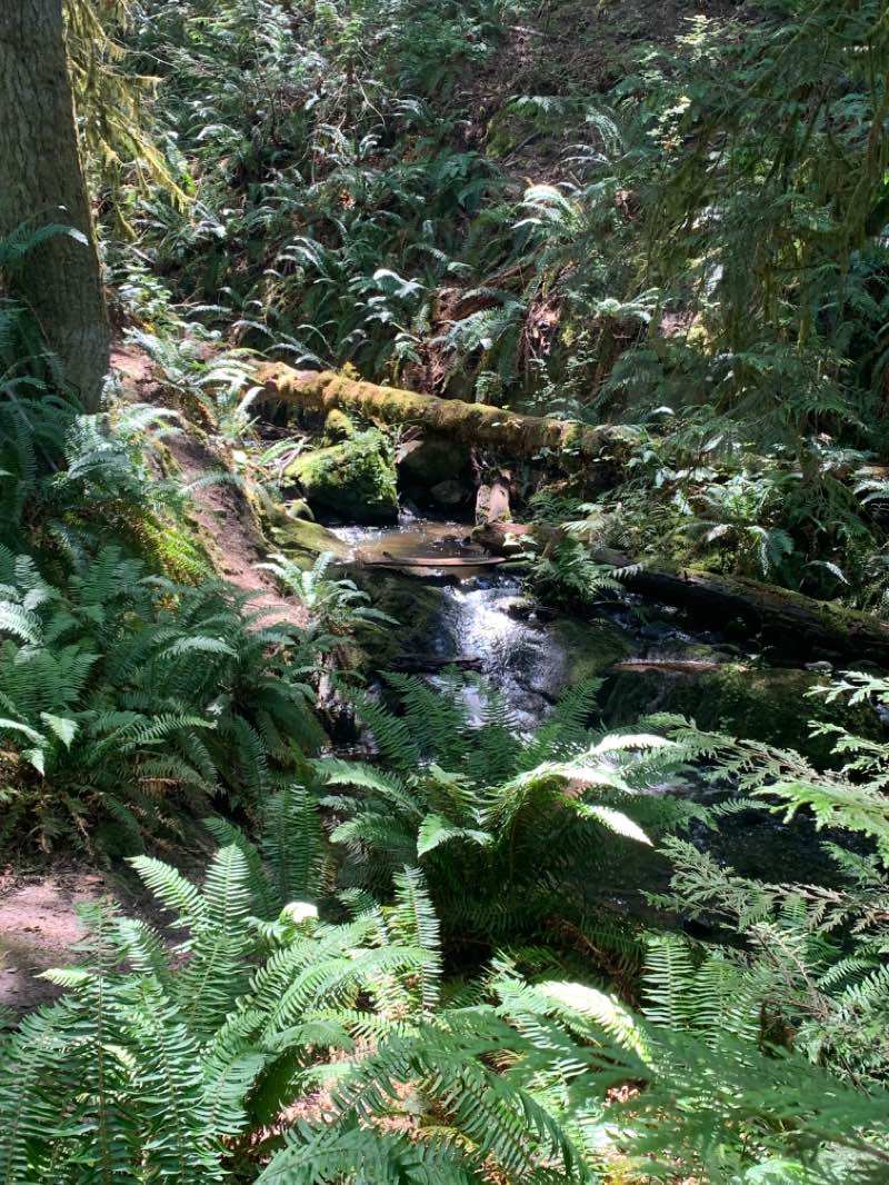 walking near me in Mouat Park in winter