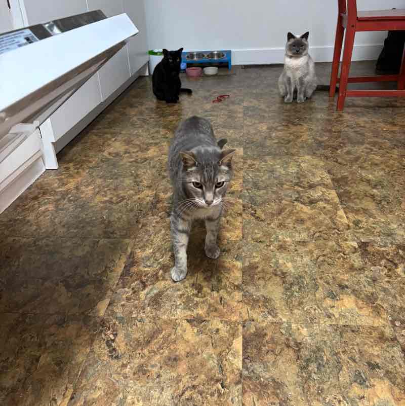 Alexander Jeffries 🏴󠁧󠁢󠁳󠁣󠁴󠁿🇨🇦 post 1