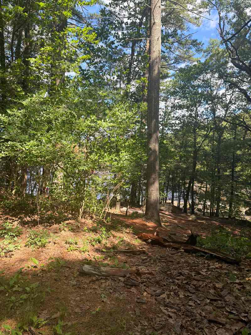 walking near me in Lynn Woods Reservation in summer