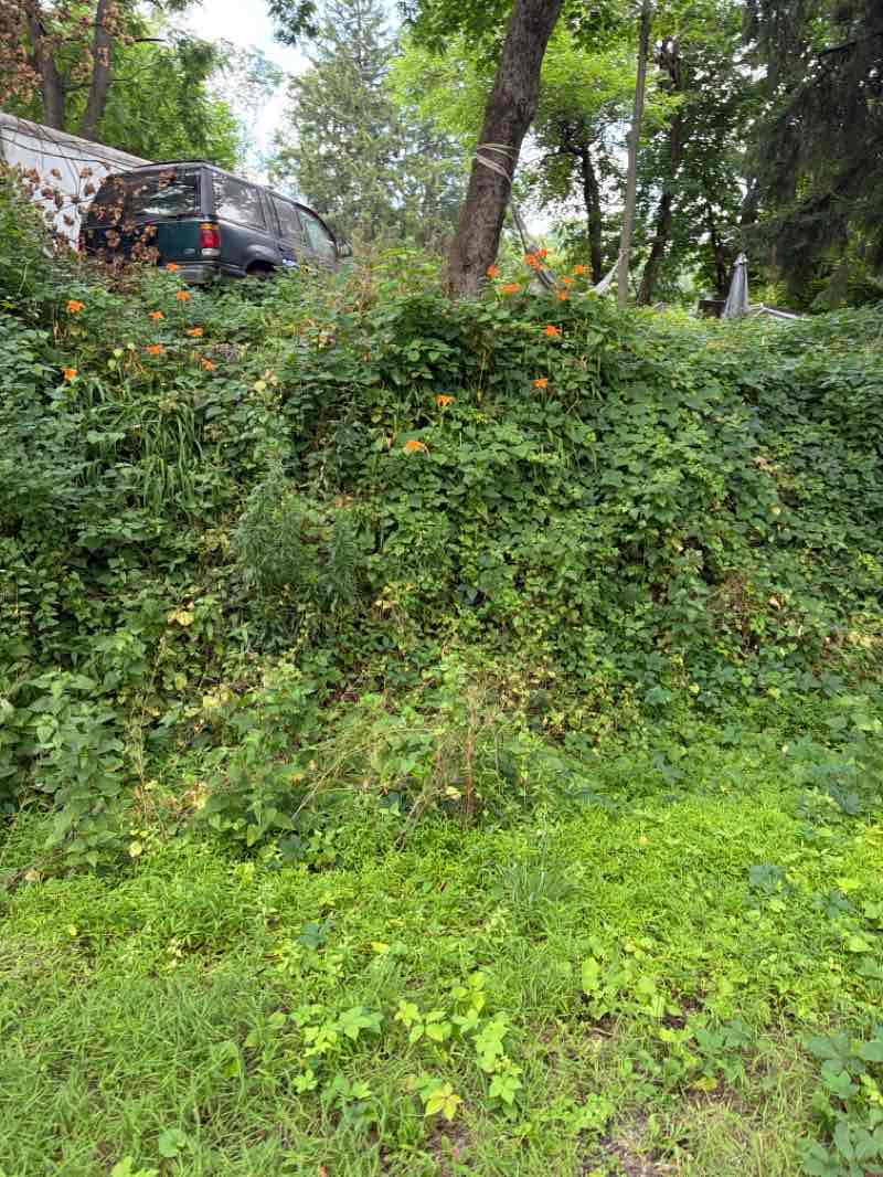 walking near me in Southern Lehigh Living Memorial Community Park in summer