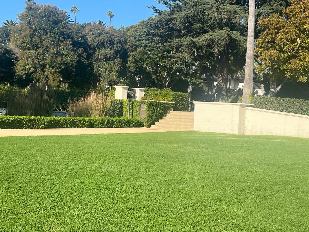 walking near me in Beverly Gardens Park in autumn