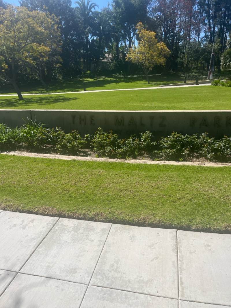 walking near me in The Maltz Park in spring