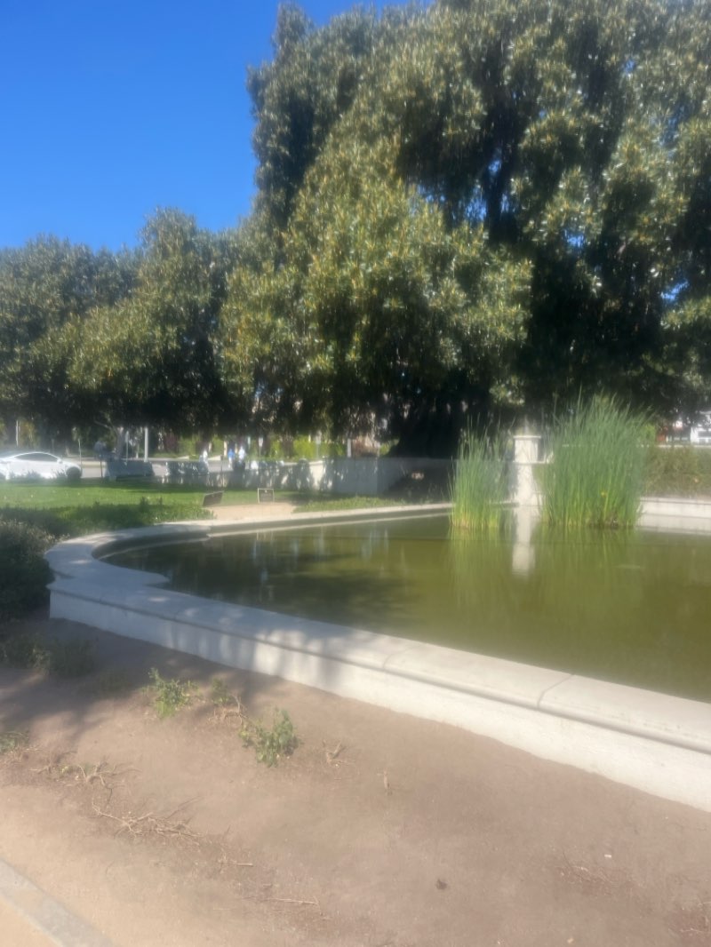 walking near me in Will Rogers Memorial Park in spring
