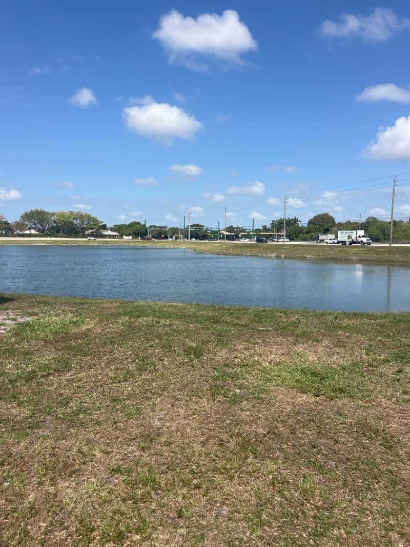 walking near me in Lake Charleston Park in spring