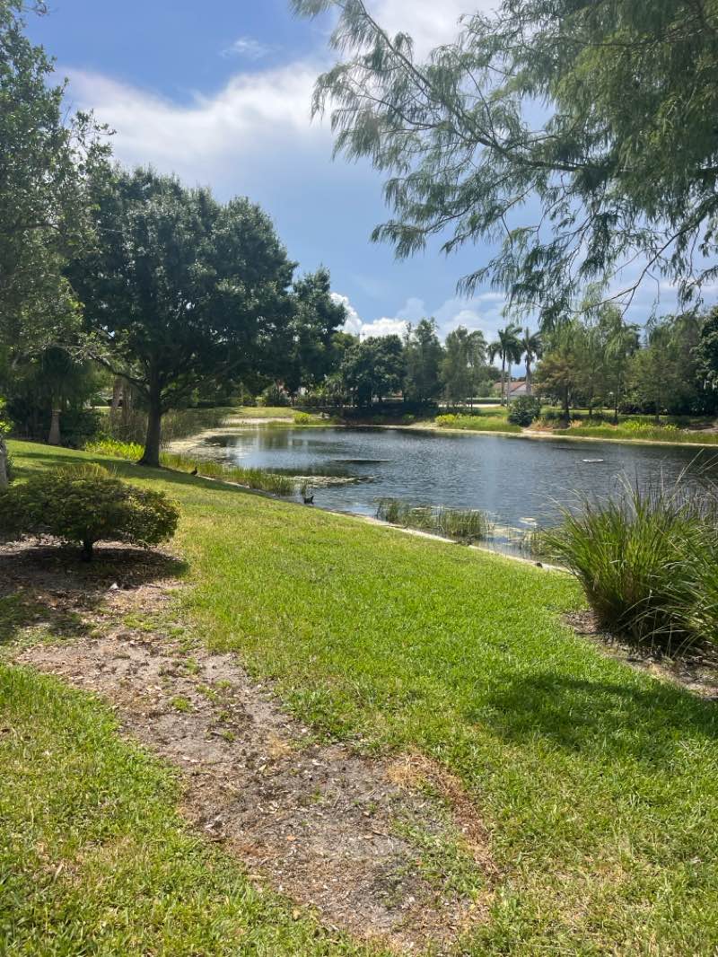 walking near me in Knollwood Park in summer