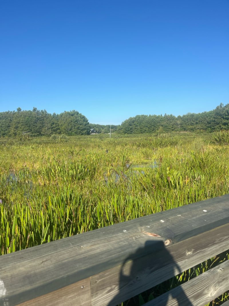 walking near me in Green Cay Nature Center and Wetlands in autumn