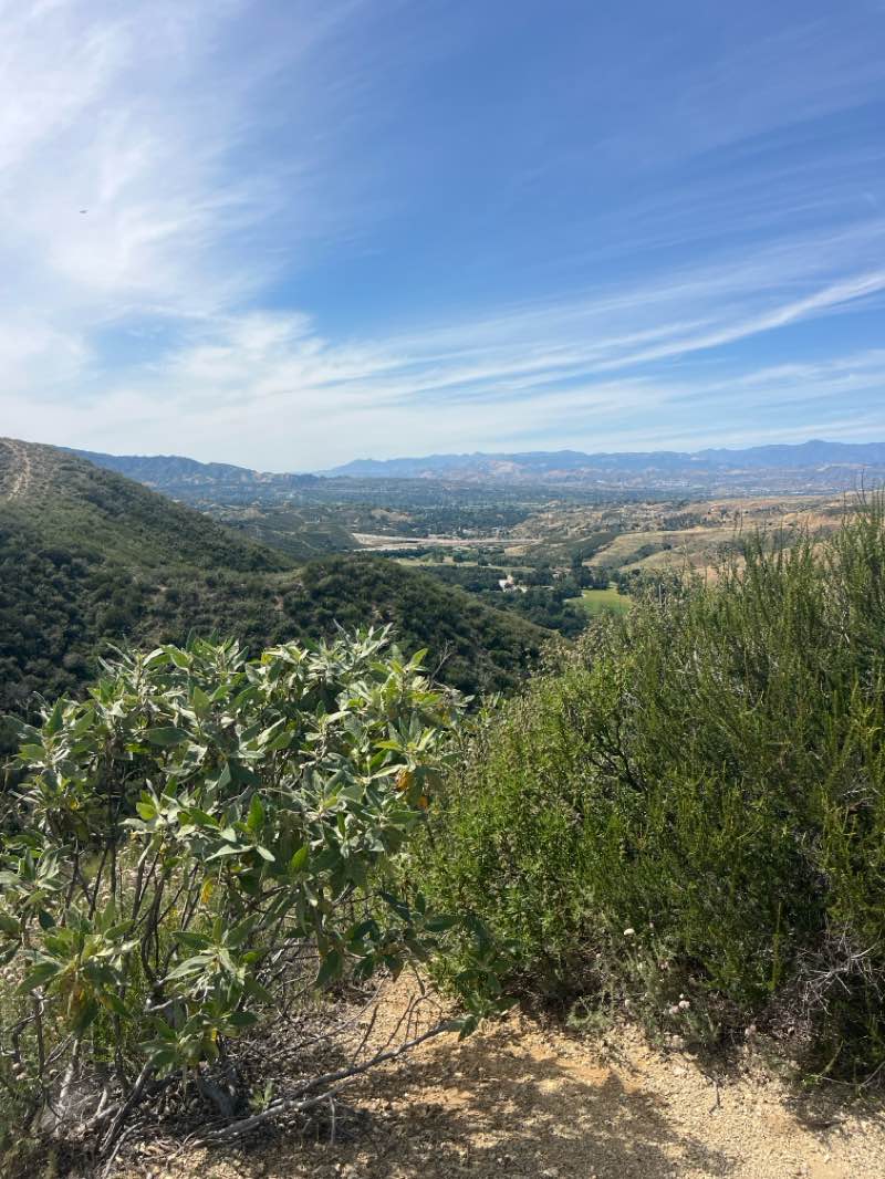 walking near me in Placerita Canyon State Park in spring
