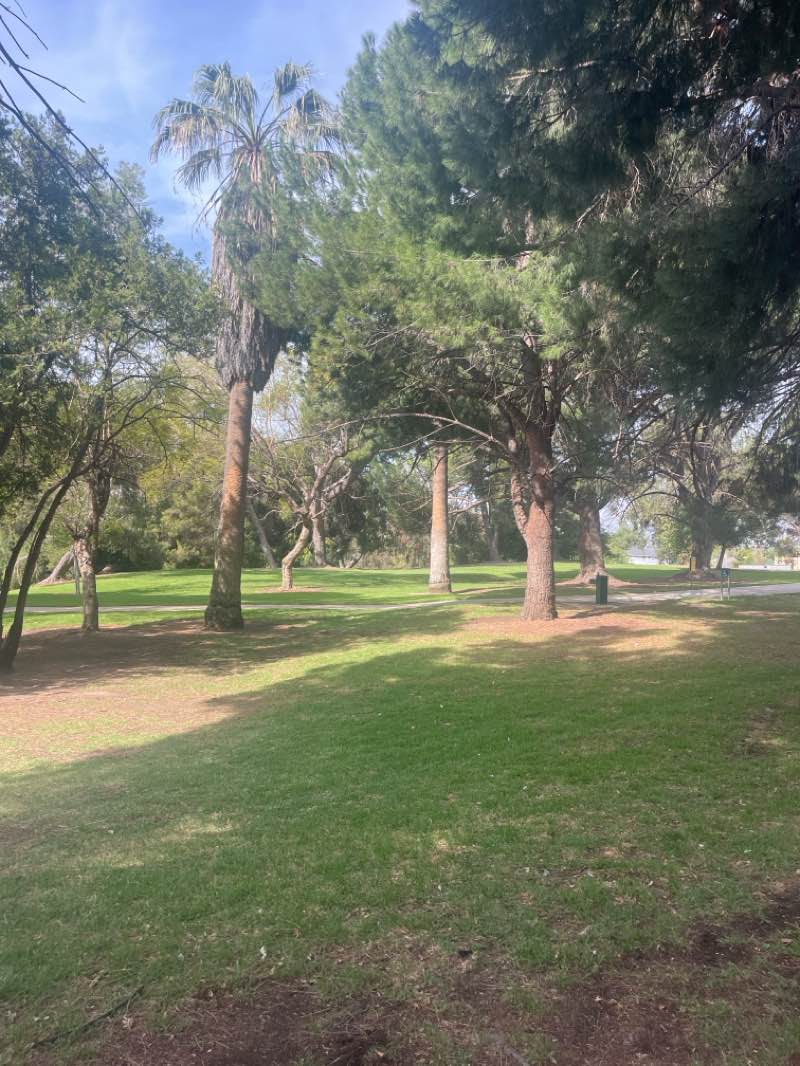 walking near me in Veterans Memorial Park in spring