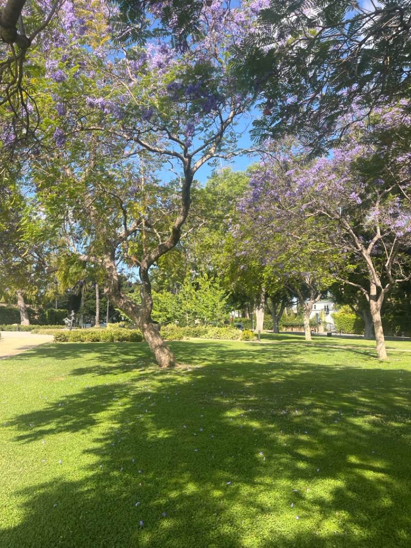 walking near me in Beverly Gardens Park in spring