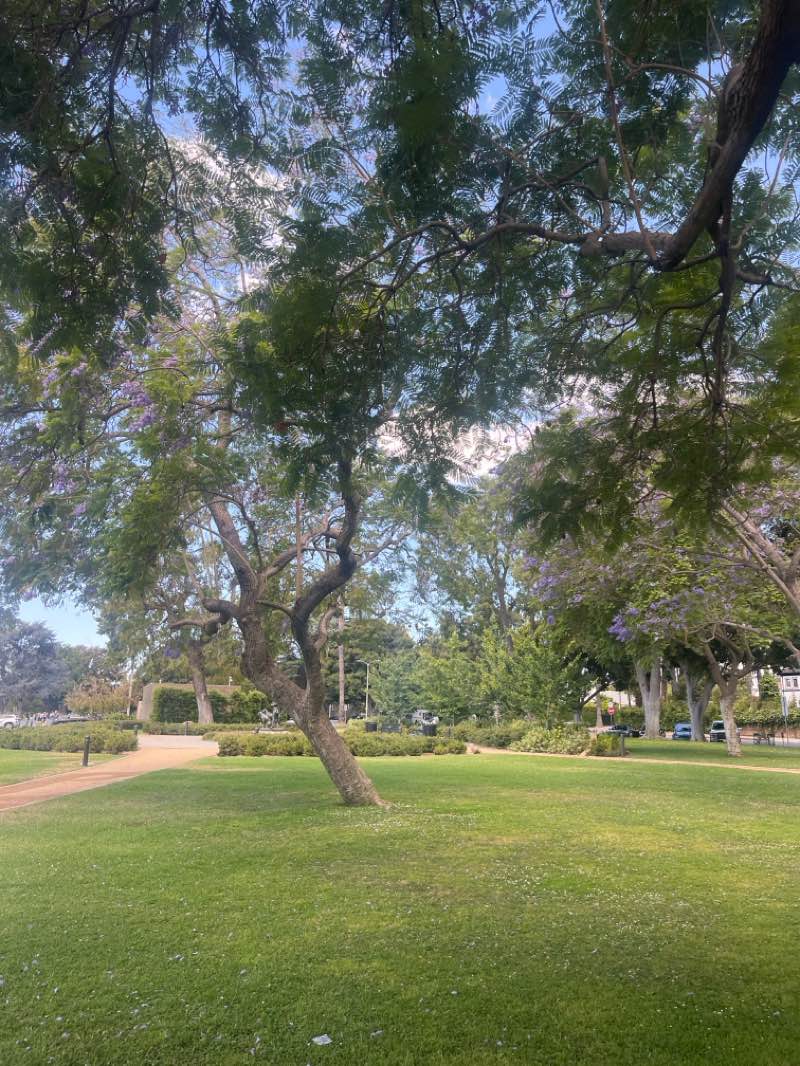 walking near me in Beverly Gardens Park in summer