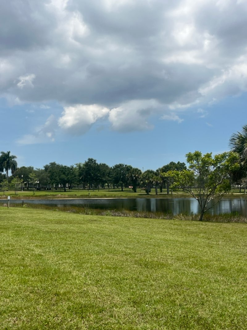 walking near me in Commons Park in spring