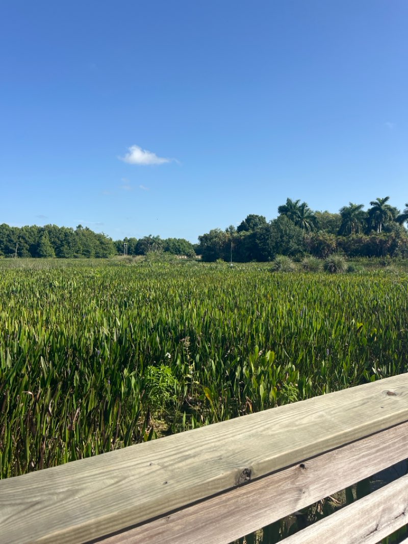 walking near me in Green Cay Nature Center and Wetlands in summer