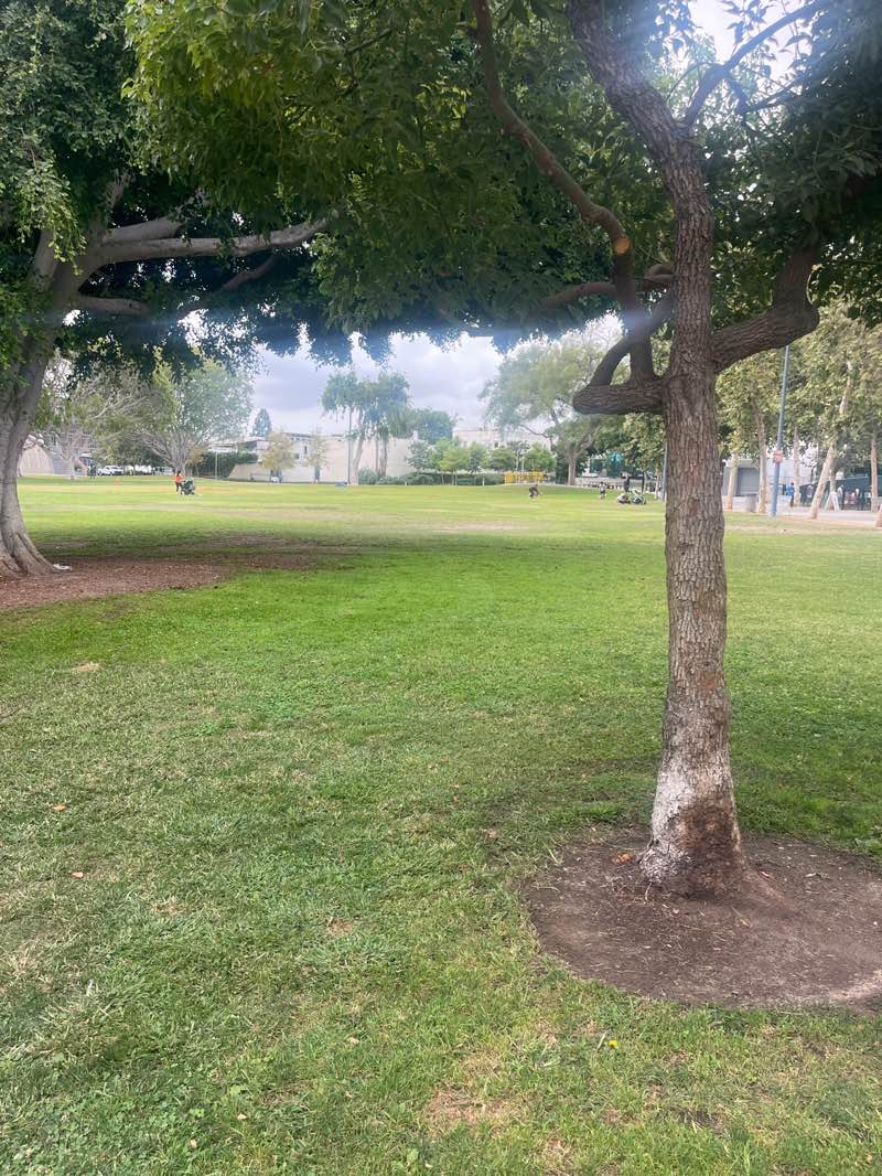 walking near me in West Hollywood Park in autumn