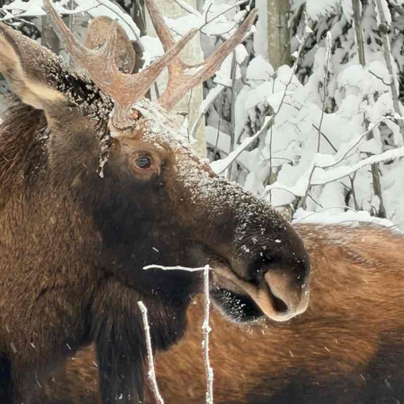 November Group Challenge J@mes 🇺🇸🇩🇪🇧🇦 post image