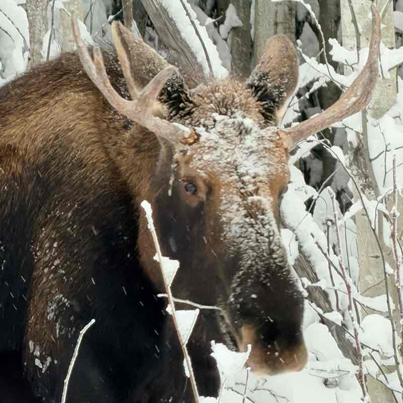 November Group Challenge J@mes 🇺🇸🇩🇪🇧🇦 post image