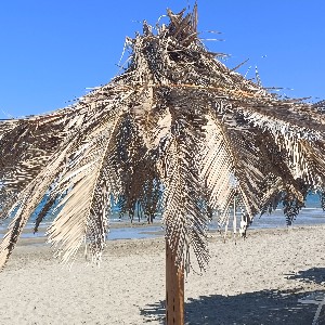 𝄞🎼₦aidylus🎶𝄞