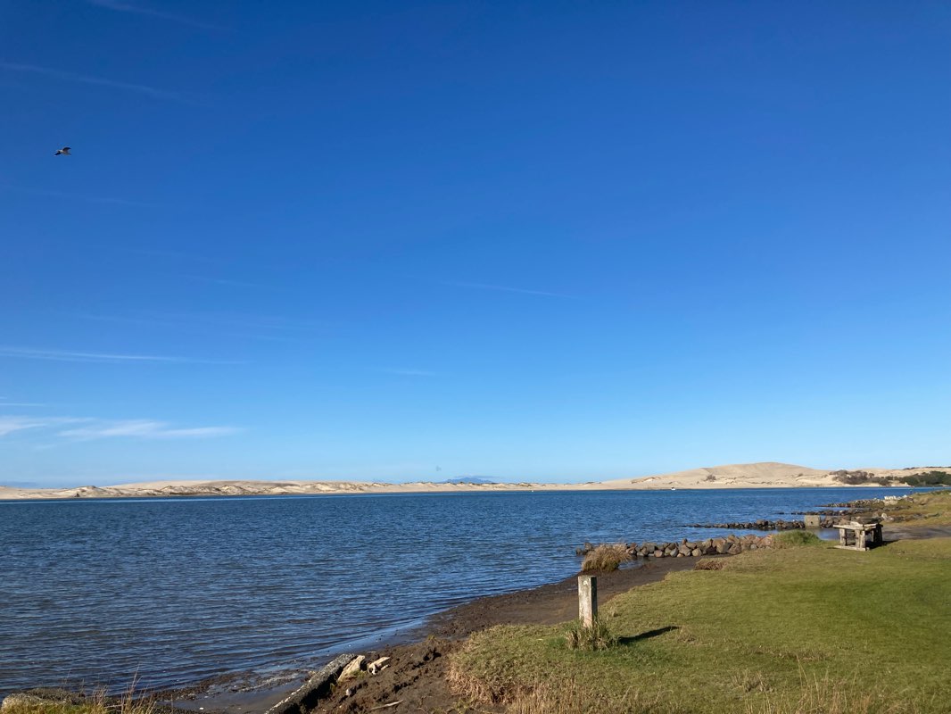 walking near me in Lincoln street reserve in summer