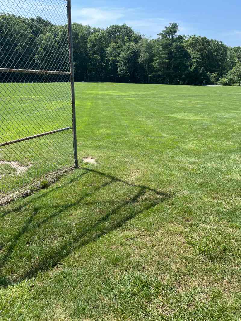 walking near me in Kingston Township Park in summer