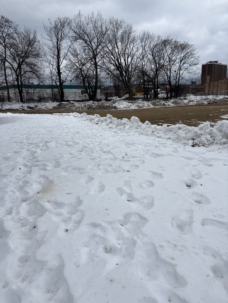 walking near me in Reeses Park in winter