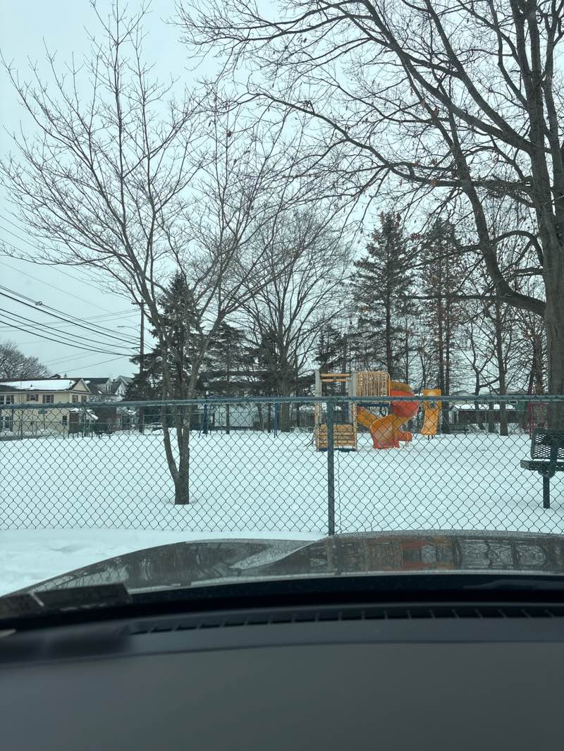 walking near me in William T. Morris Park in winter