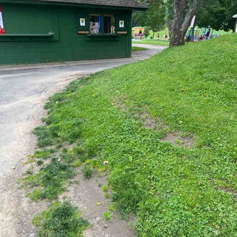 PacerGal_1954 post 1