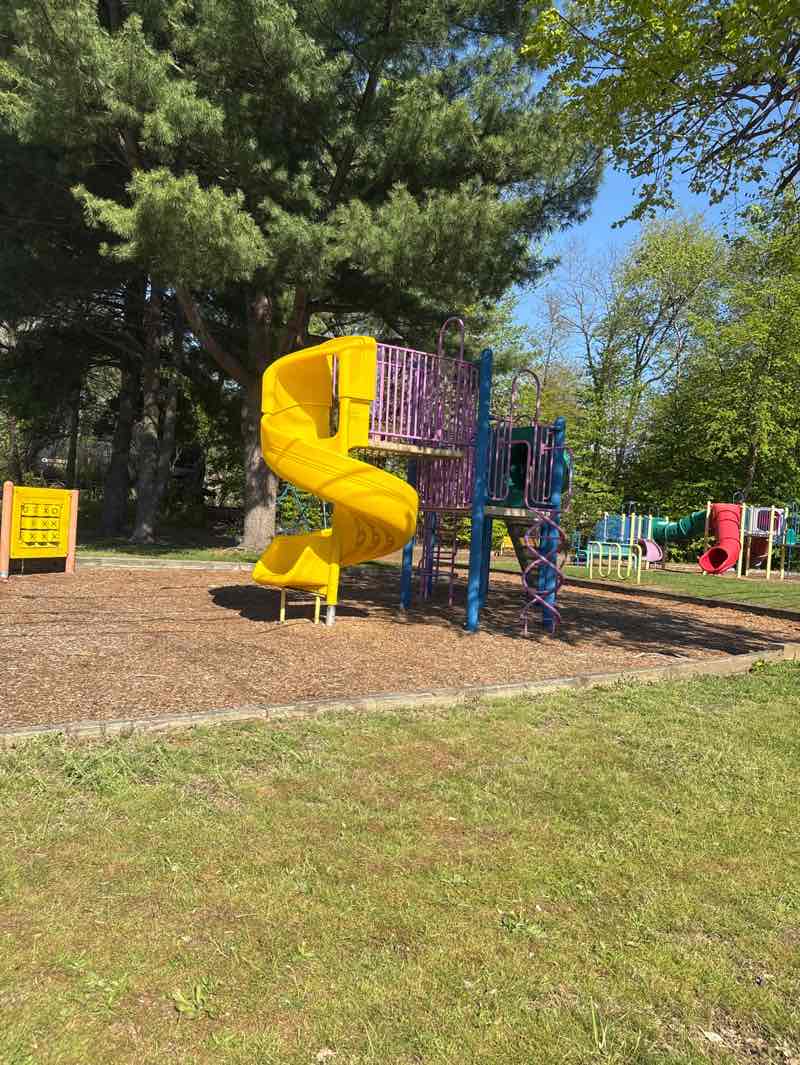 walking near me in Scouton Lee Park in spring