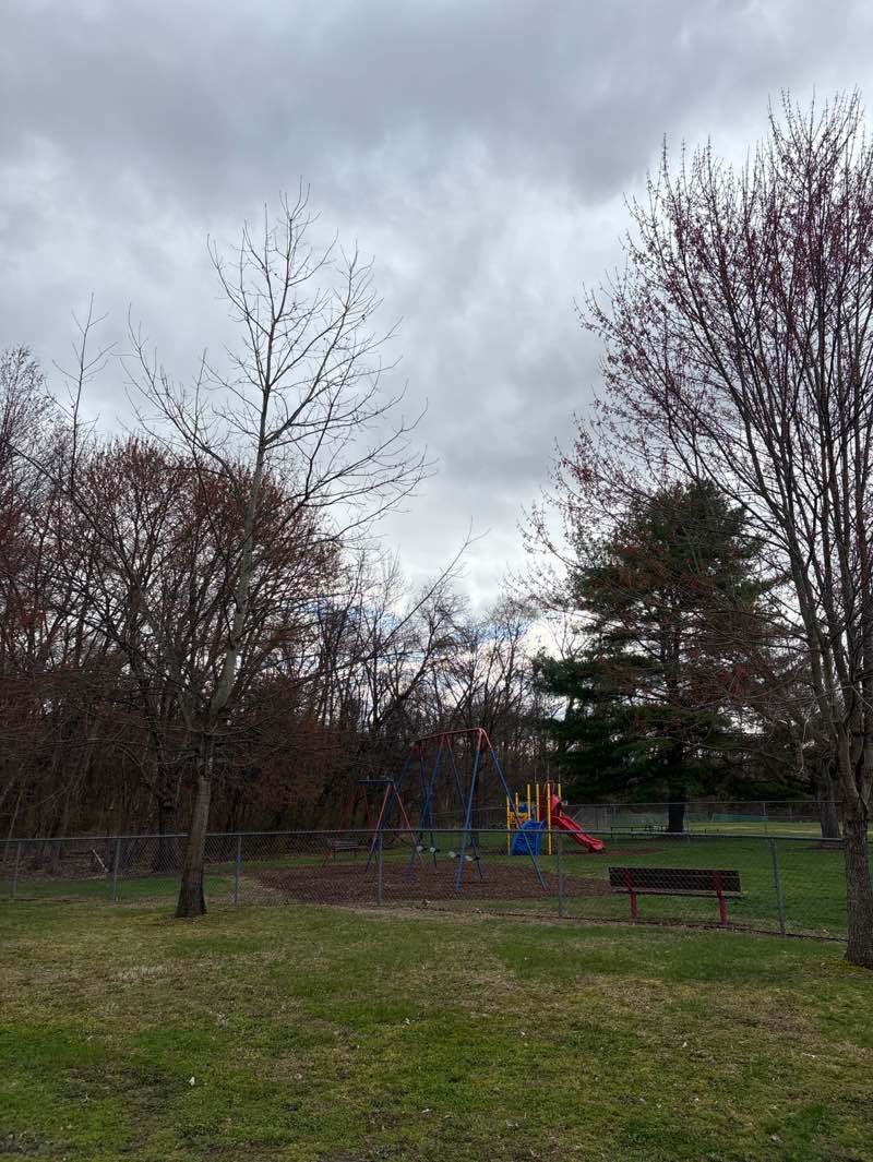 walking near me in Frank Slapar Park in spring