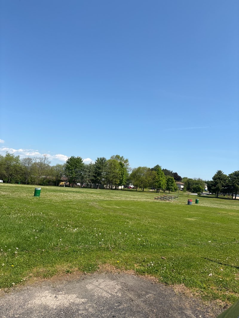 walking near me in Parsons Park in summer