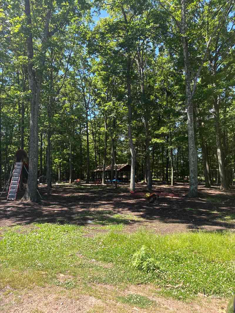 walking near me in Wright Township Community Park in summer