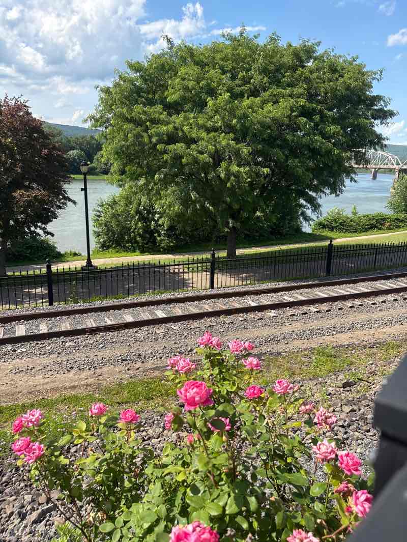 walking near me in Riverfront Park in summer