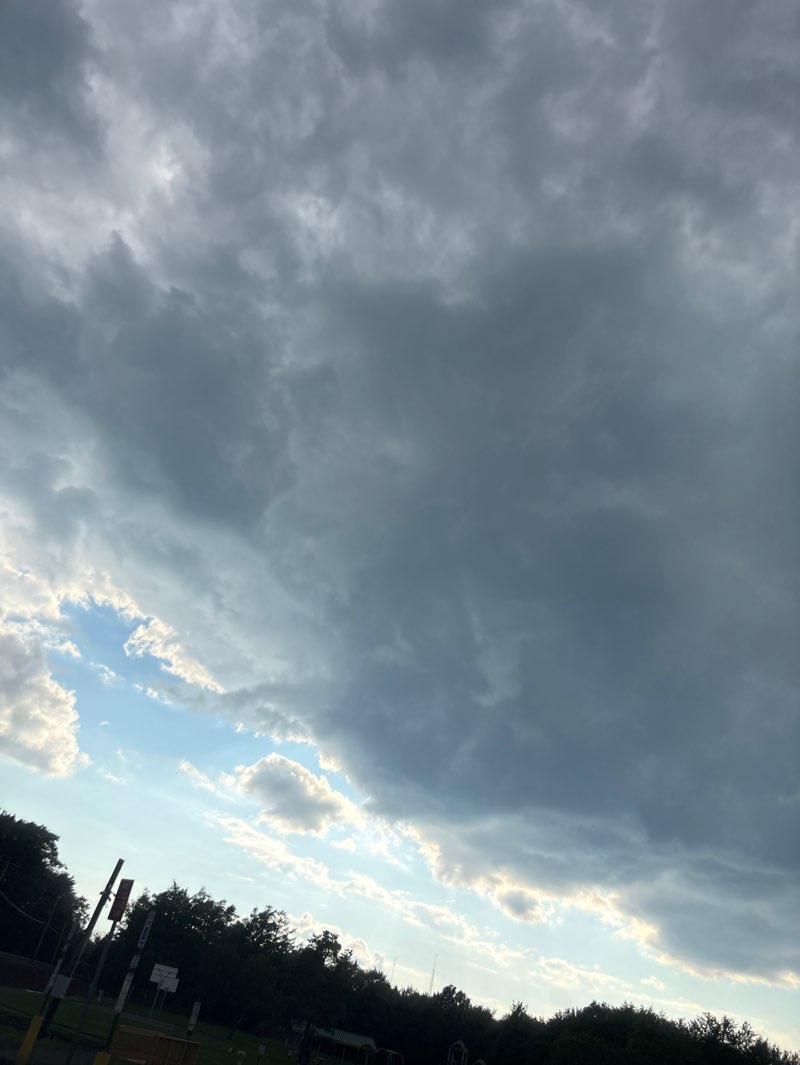 walking near me in Trailwood Park in summer