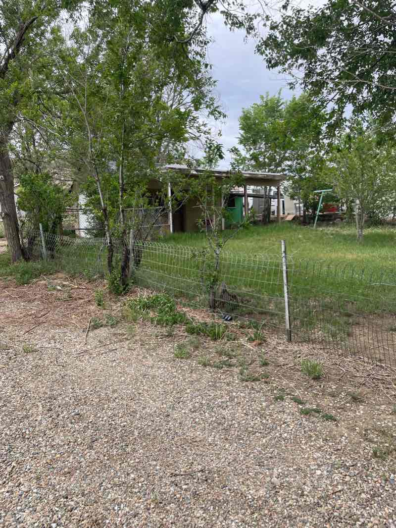 walking near me in Kit Carson Park in winter
