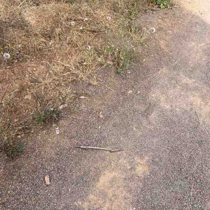 rachid 🇲🇦🇲🇦🇲🇦 post 3