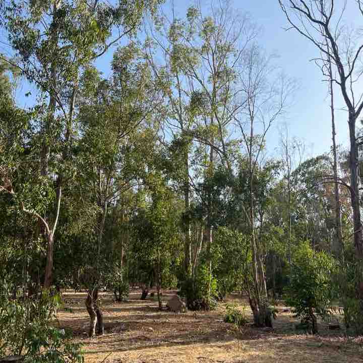 rachid 🇲🇦🇲🇦🇲🇦 post 3