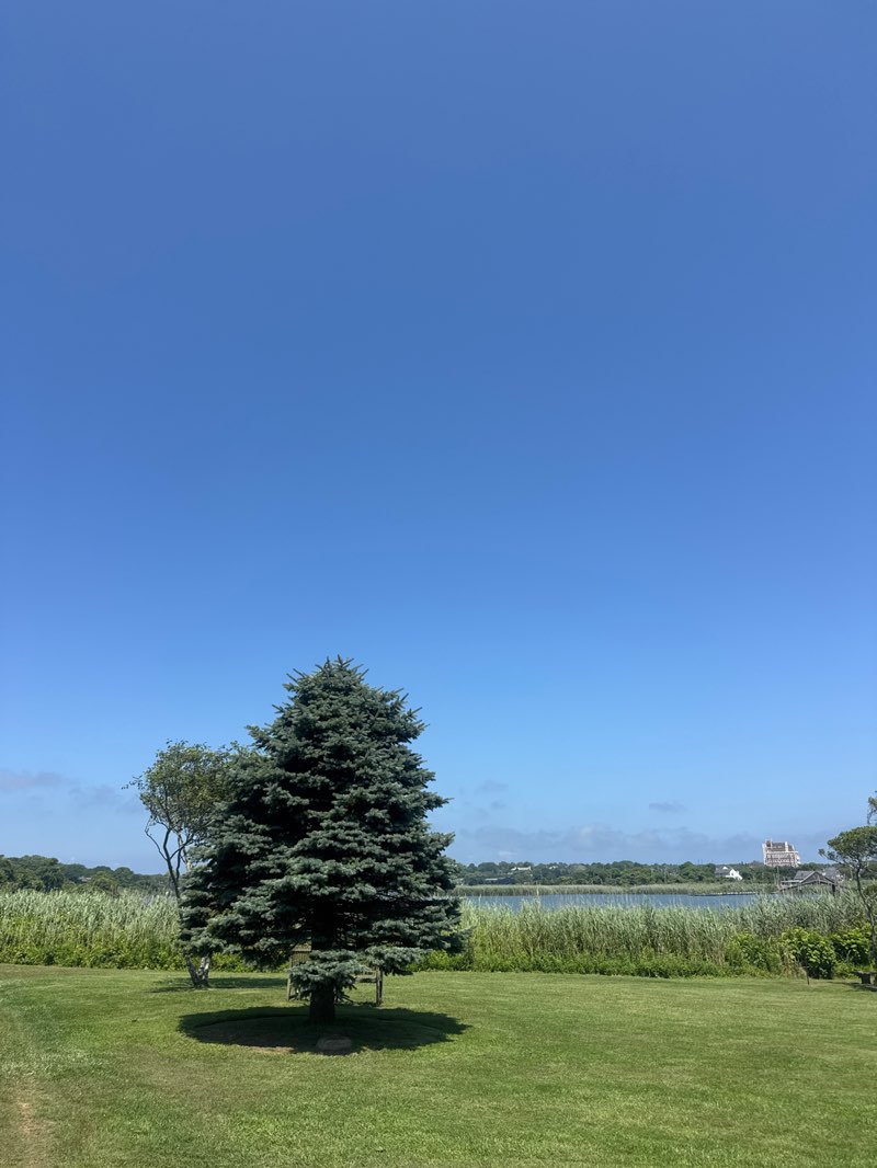 walking near me in Kirk Park in autumn