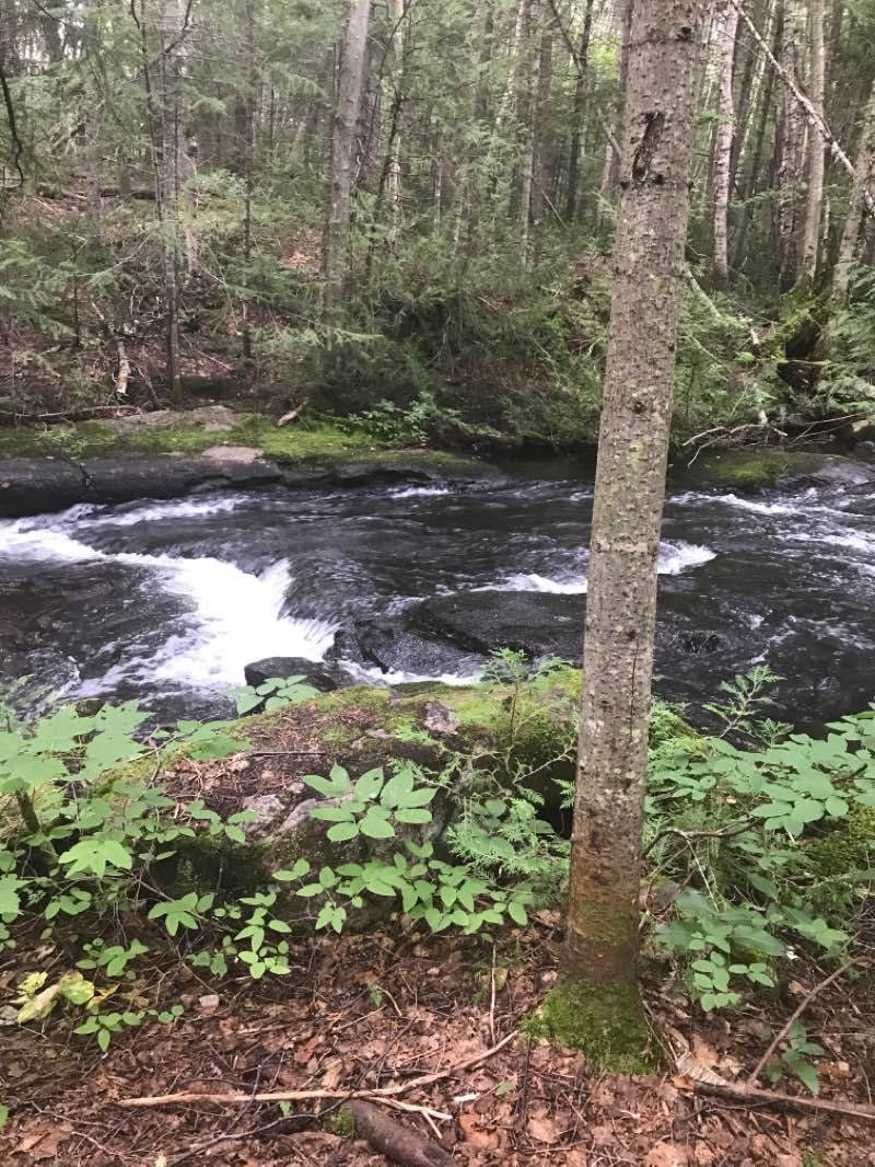 walking near me in Zec Lavigne in winter