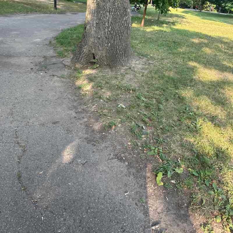 michael.lobb1 post 1